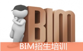 {̫ԭйBIMѵ